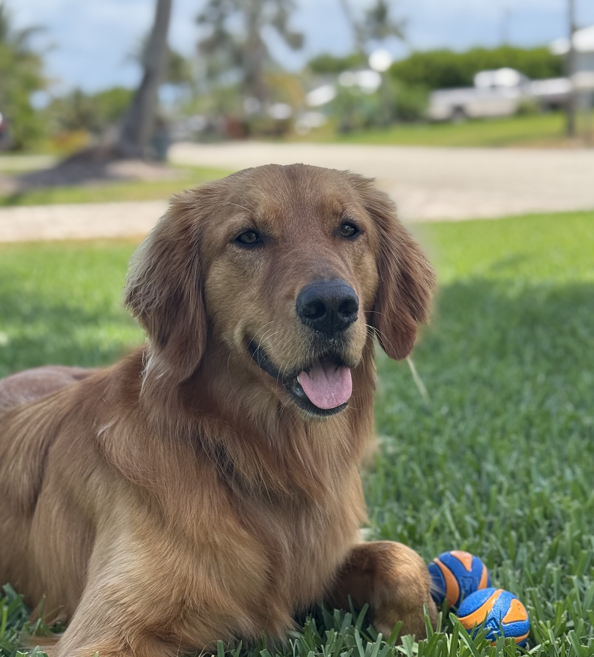 Molly - Local Tour Guide
